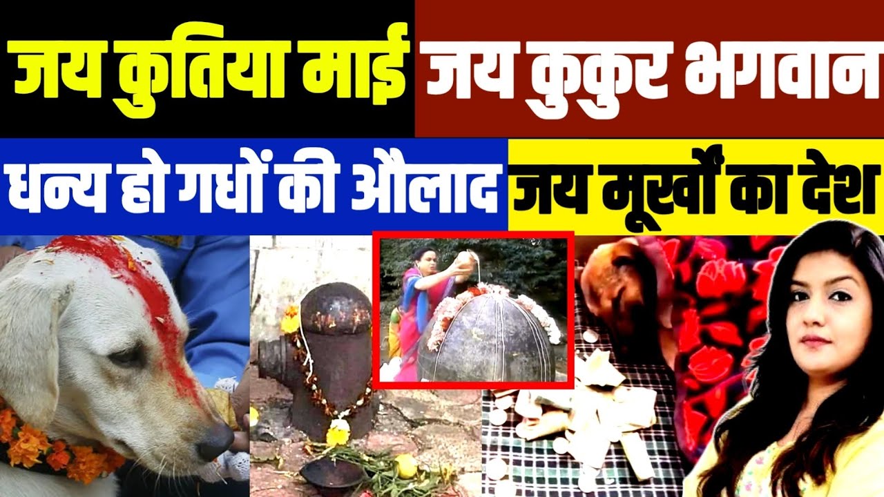 धर्म की आड़ में मूर्खता की हद पार • खंभा और LED बल्ब ही भगवान 