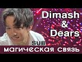 🍀SUB Лучшие моменты концертов Димаша/ Dimash concerts best moments