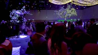 Masquerade Party Entertainment