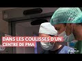 Dans les coulisses dun centre de pma  la maison des maternelles lmdm