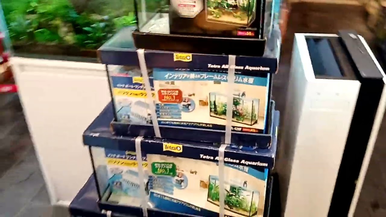 静岡の熱帯魚屋さんミクロのオールガラス水槽セット。 | アクアリウム