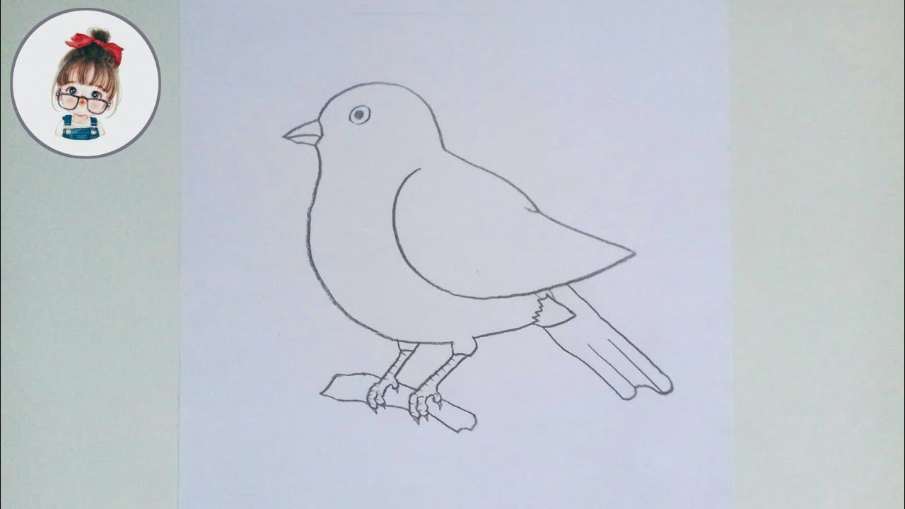 how to draw cute bird easy step by step | easy bird drawing ...