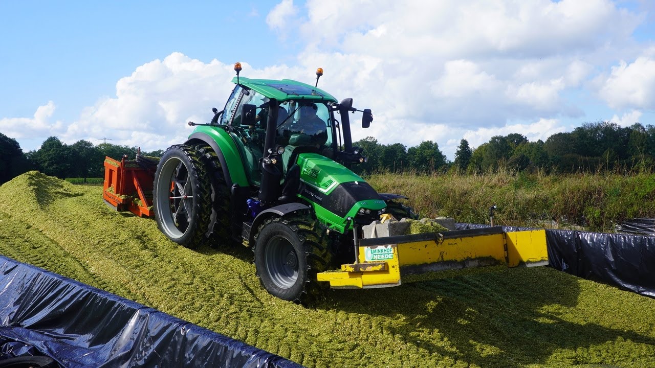 Mais 2024 | Krone BigX 680 + Deutz-Fahr | Olminkhof Neede | Kuilwerk |  Maishakselen | Mais silage