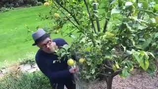 Gary Oldman Lemons for Leukemia Challenge