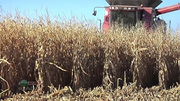 Farm Basics #759-Yield Monitors (Air Date 10/21/12)