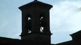 PESARO Parr.S.Francesco d'Assisi.v.218