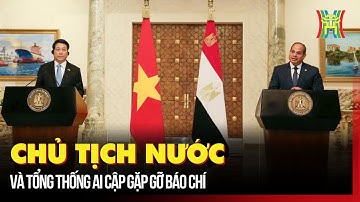 Chủ tịch nước và Tổng thống Ai Cập gặp gỡ báo chí