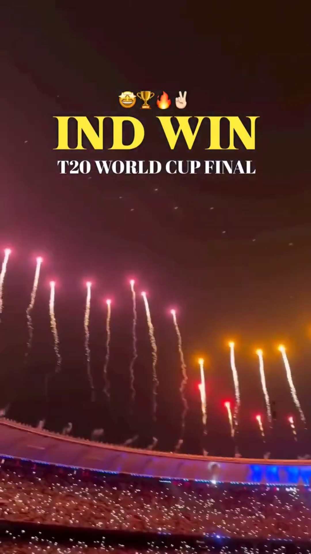 🔥भारतच पुन्हा T20 विश्वविजेता🏏 - ShareChat