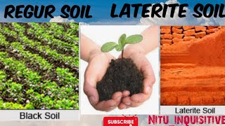 Black soil (regur) and Laterite soil Class 10 CBSE