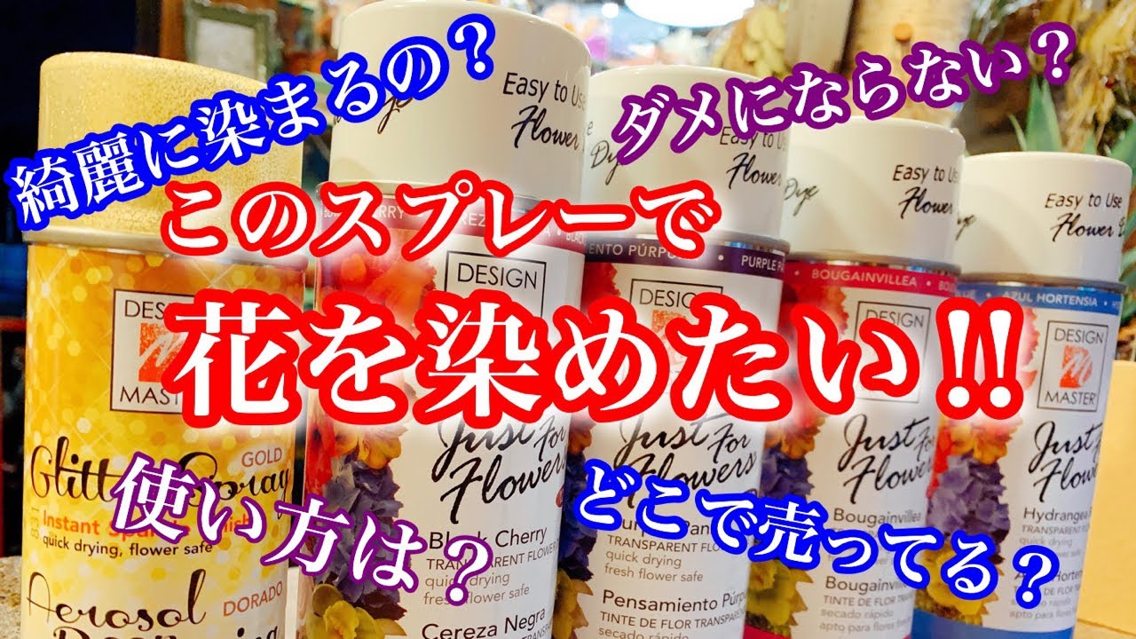 ライブ】花を染めるスプレー売ってたので使ってみた - YouTube