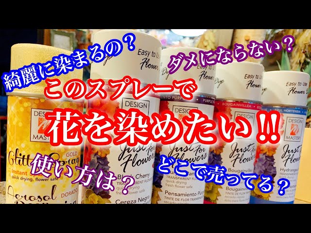 sddefault.jpg?v=5d231f71