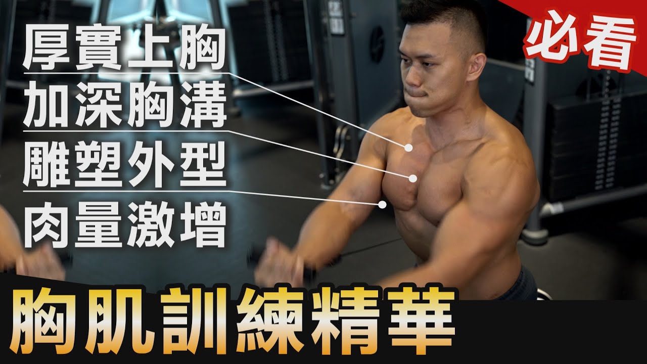 【打造完美胸肌】最難練的胸溝、胸形、肉量 練胸必看指南！│健人訓練│ 2020ep47