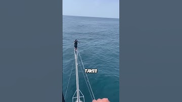 $3 Million Tuna Fish with Javelin Spear (@diamond) #shorts