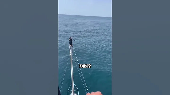 $3 Million Tuna Fish with Javelin Spear (@diamond) #shorts