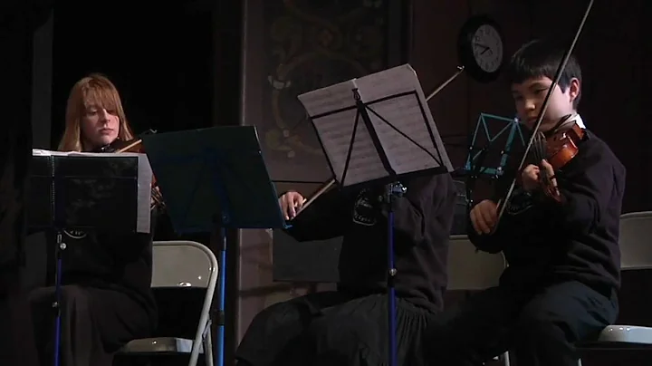 Concerto for Oboe and Violin in C Minor, BWV 1060,...