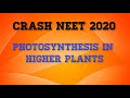 NEET: Photosynthesis in Higher Plants Part 3 (Biology) | MSC CRASH COURSE 2020 | Satish Sir