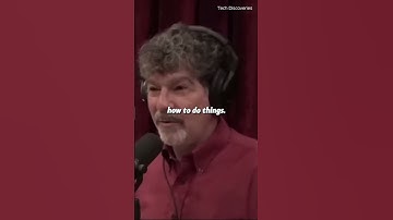 Bret Weinstein What is ChatGPT #shorts #bretwweistein