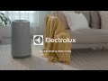 New electrolux air purifier  flow