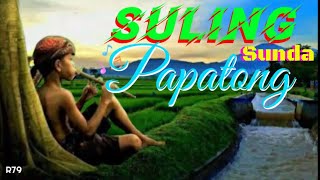 Story wa lagu Sunda | Suling Sunda Papatong