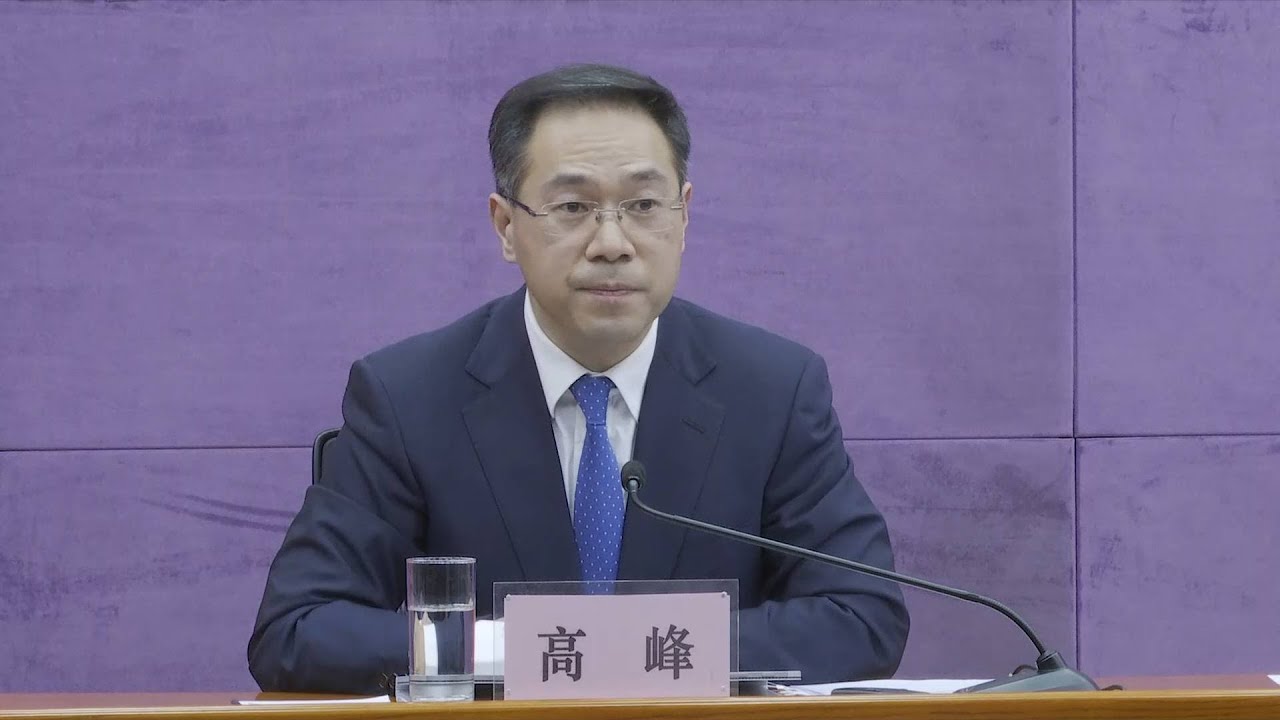 Chinese official speaks highly of China-EU investment agreement negotiations