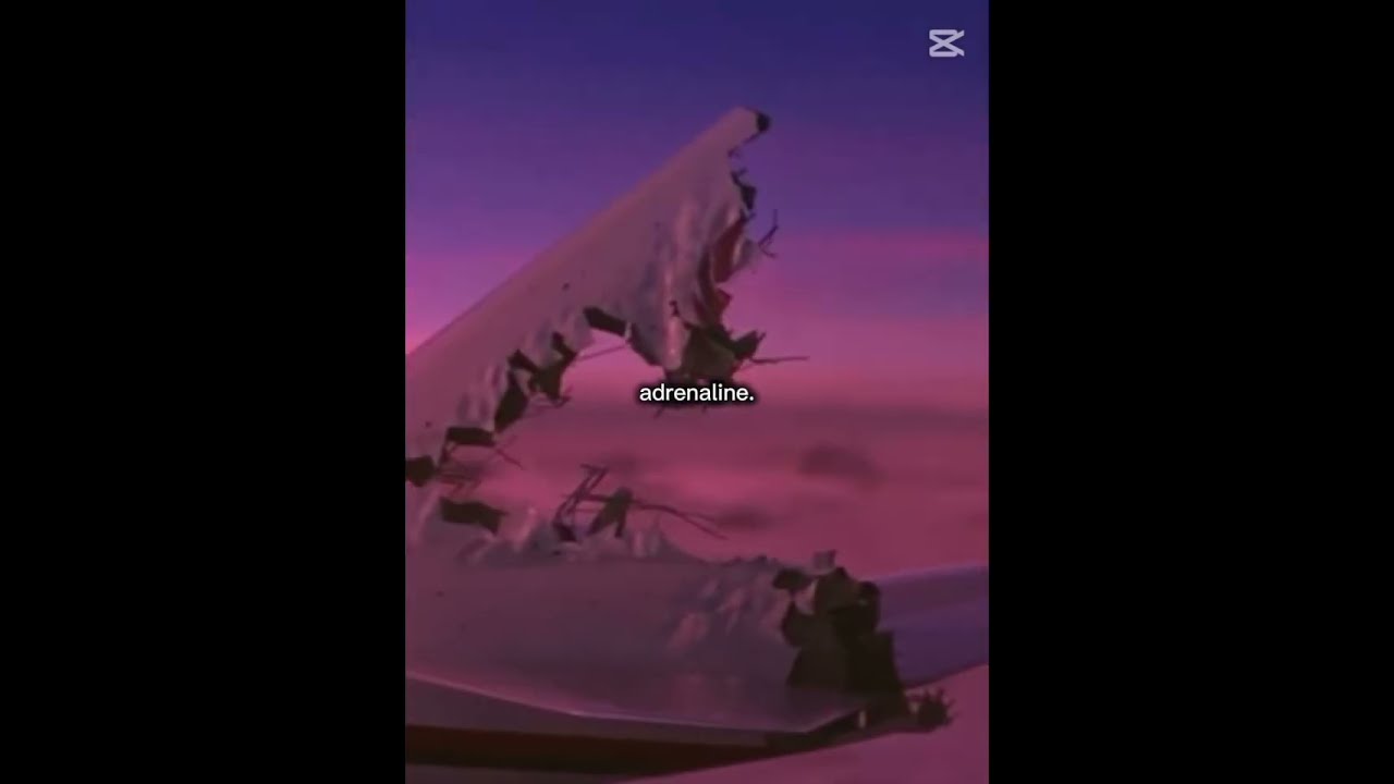 The Adrenaline That Pilots Had 