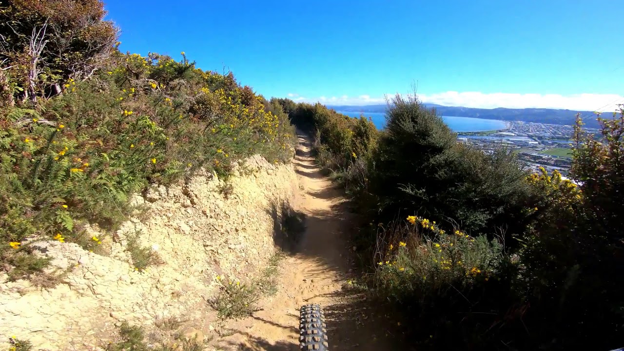 wainui trail project