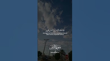 سوره التين #قرآن #راحة_نفسية #عبدالرحمن_مسعد