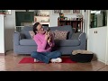 BOB THE DOG! Describing an animal in English - lezione di inglese per bambini