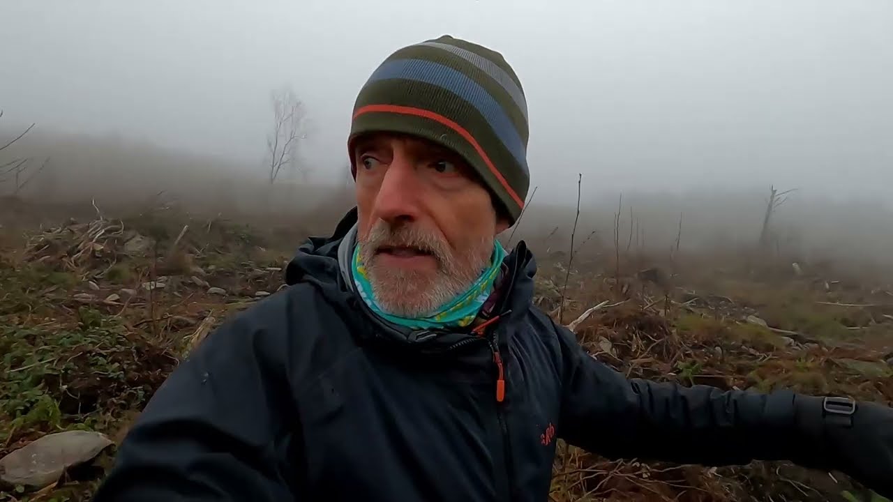 Searching for hidden secrets in a forever changing forest - Thick fog, deep snow and heavy rain, wow