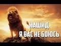 Нашид - Я вас не боюсь!