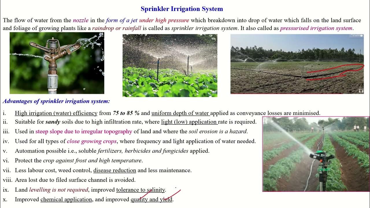 Micro irrigation Sprinkler irrigation system Definition