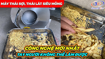 Thực Tế Máy Cắt Lát, Sợi Gừng Tươi Nhanh, Tiện Nhất Hiện Nay| Điện Máy 3G