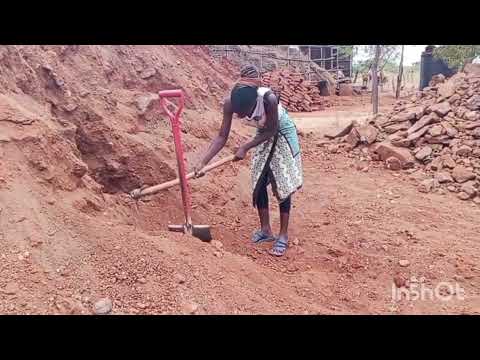 My Daily Village Routine | Cleaning, Feeding Cattle & Farm Life |Kenya ,MAKUENI County