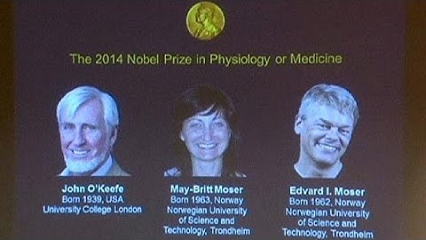 Nobel Prize for Medicine won by scientists who found the brain