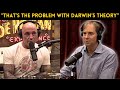 Joe Rogan Confronted With A Logical Case For GOD