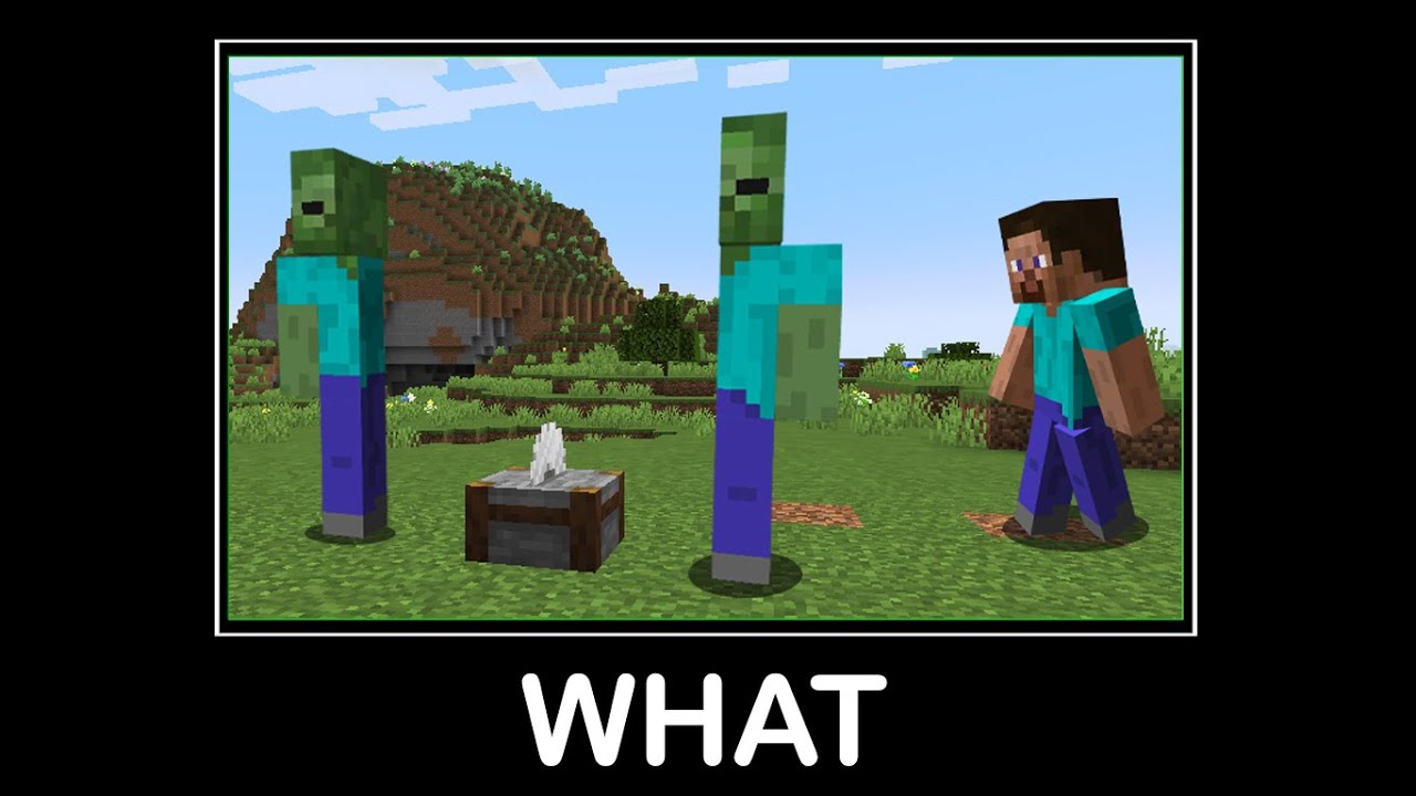 Wait What Minecraft Memes #29 - YouTube