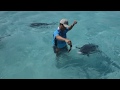 Hand feeding monster 100lb giant trevally gts in the cook islands  ifish