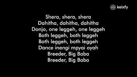 Breeder LW ft Zendiambo - Dance Mpyai (Both Lege) lyrics