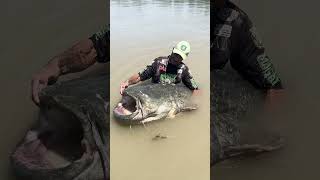 World Record Catfish  Caught on a Cannibal shad and SGS8 Reel