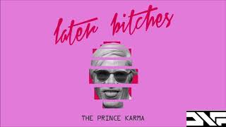 The Prince Karma - Later Bitches (DNF Remix) Resimi