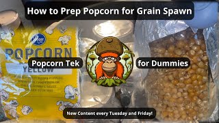How to Prep Popcorn for Grain Spawn! (Popcorn Tek)