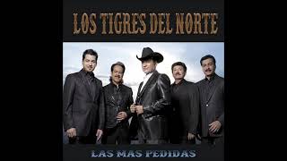 BOHEMIO DE AFICIÓN - LOS TIGRES DEL NORTE