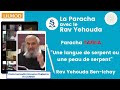 Rav ben ichay cours sur la paracha tazria une langue de serpent ou une peau de serpent 120424