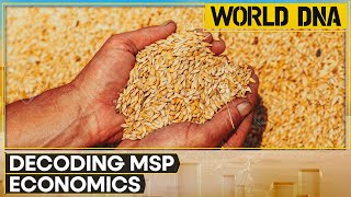 Decoding MSP and its impact on farmers and agriculture | WION World DNA