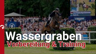 Wie bereite ich mein Pferd auf den Wassergraben vor?💦🐎