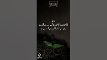 تلاوة ندَية من سورة يوسف | حالات قران | احمد العبيد 🎙️"