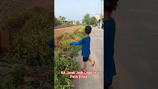 Awas Kereta!!! Bocil Lihat Kereta Api Logistik Petik Emas Melintas