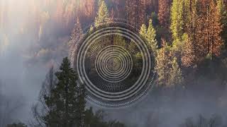 Boys Be Kko - Oreinspotting Atomnation