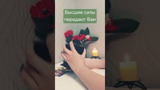 что хотят сказать высшие силы ? #ближайшеебудущее #общийрасклад #таро #гадание #tarot #таролог