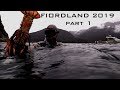 Josh james adventure vlogs fiordland  doubtful sound hunting fishing spearfishing with the lads
